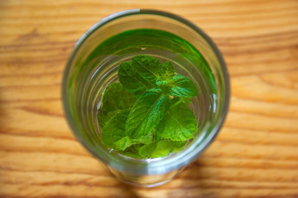 aceite de menta